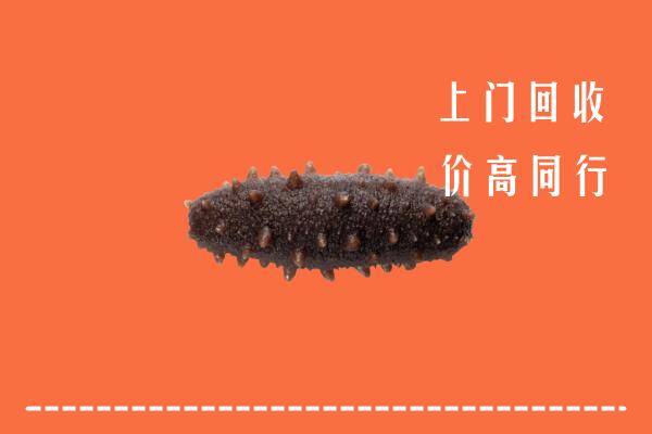 高价求购：黄山回收海参