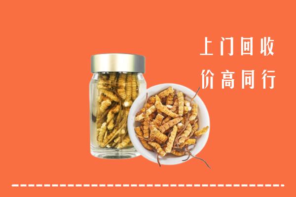 黄山回收冬虫夏草