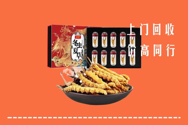 黄山回收虫草